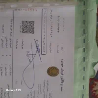 نیسان وانت تک سوز دریچه برقی صفر ۱۴۰۲