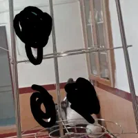 2عدداستند قابلمه