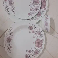 ظروف بدون خط و لب پریدگی