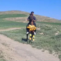 برکت نریون کرد