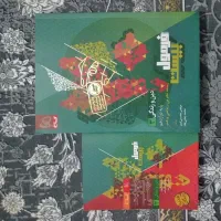 فرمول بیست دینی
