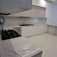 مجری تخصصی بین کابینتی