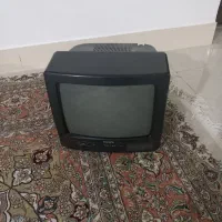 تلویزیون