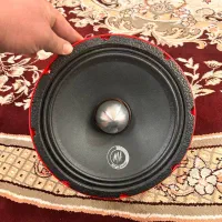 میدرنج ۱۰ اینچ ma