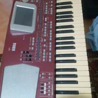 ارگ مدل PA500