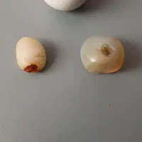 سنگ قیمتی