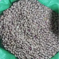 لوبیا چیتی بالیسین شمارا به قیمت منصفانه آلرام
