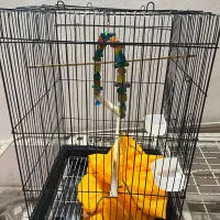 قفس پرنده