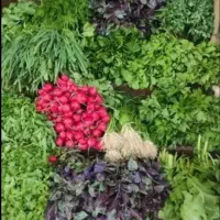 سبزی خورشتی پلویی کوکویی اشی