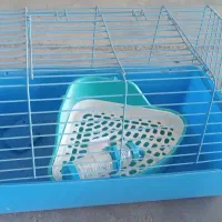 قفس خرگوش در حد نو