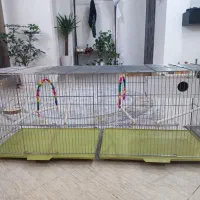 قفس پرون