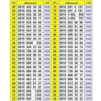 0919.550.92.82|سیم‌کارت|گلپایگان, |دیوار