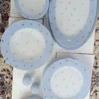 ظروف چینی زرین ایران