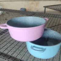 نقاش رنگ پودری