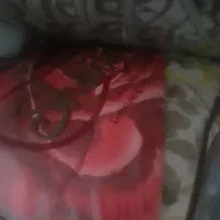 پتو|رختخواب، بالش، پتو|زهک, |دیوار