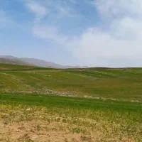 زمین