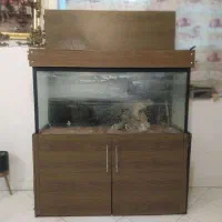 آکواریوم