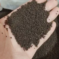 چای کله مورچه