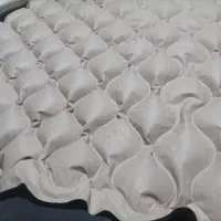 دوشک  بادی  نو  اسنفاده نشد