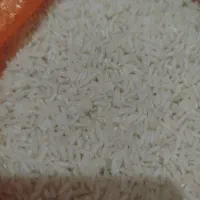 برنج هاشمی تازه