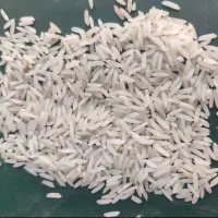 فجر گرگان از منطقه زاغمرز