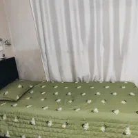 تخت تک نفره با تشک