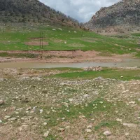 آماده کار و همکاری هستم تمام وقت