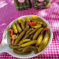 خیارشور امسالی شیروان و قوچان