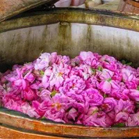 گلاب ناب لیتری 190