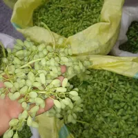 غوره تازه تازه