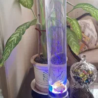 اکواریوم