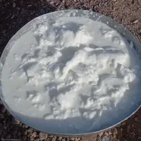 کره تازه
