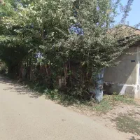 گیلان-کوچصفهان-250-متر-کلنگی