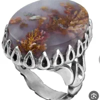 ع..رو.س هلندی معاوضه