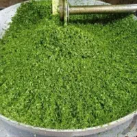 *انواع سبزی خورشتی پاک شده و آماده نازگل*
