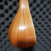 سه تار مسعود مصلی نژاد