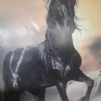 آگهی استخدام