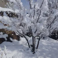 زمین فروشی در سنگ سفید