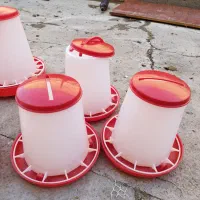 دانخوری پرنده