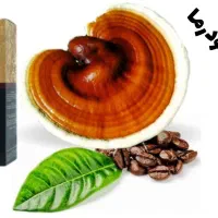 قهوه گانودرما دکتربیز