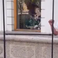 اتاق پرو، مانکن ، رگال خطی