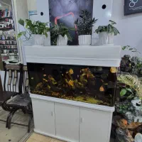 فروش آکواریوم