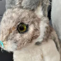 تعدادی عروسک های سالم