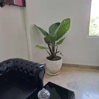 طرح آیروکس شرکت شاهین