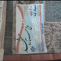 قالی درحدنوقیمت مناسب