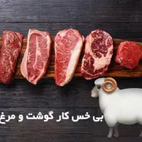 نیروی حرفه ای بی خس گوشت مرغ