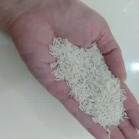برنج صدری