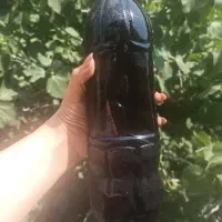 شربت توت سیاه
