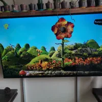 تلوزیون هوشمند LED اسنوا 43