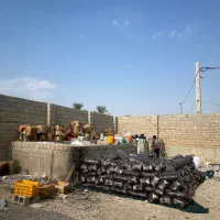 خرمای چومه،ضایعات خرما کبکاب